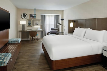 Room, 1 King Bed