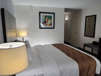 Standard Room, 1 King Bed, Non Smoking