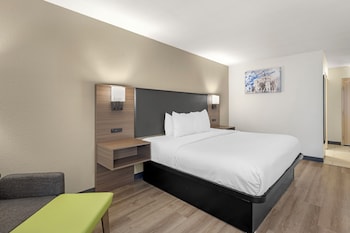 Standard Room, 1 King Bed, Non Smoking, Refrigerator & Microwave (Pet Friendly)