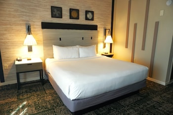 Room, 1 Queen Bed