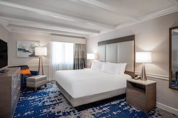 Executive Suite, 1 King Bed