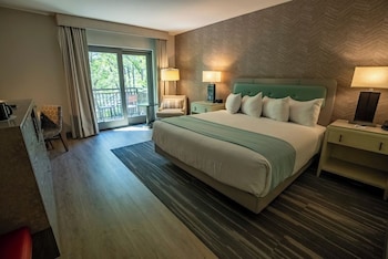 Room, 1 King Bed (Lodge and Spa Woodland Side)