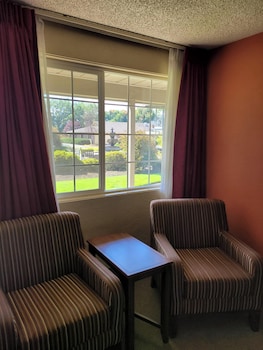 Standard Room, 1 King Bed, Non Smoking, Courtyard View
