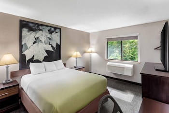 Room, 1 Queen Bed, Non Smoking