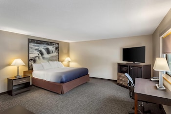 Studio Suite, 1 King Bed, Non Smoking