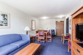 Suite, 1 King Bed, Non Smoking (One-Bedroom Suite)