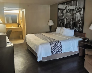Room, 1 King Bed, Smoking