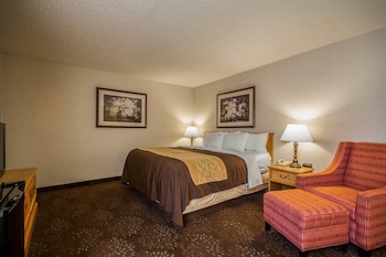 Standard Room, 1 King Bed, Accessible, Non Smoking