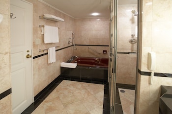 [Non-Smoking] Suite (City View)