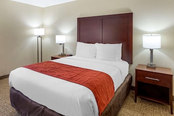 Room, 1 Queen Bed, Accessible, Non Smoking (Roll-In Shower)