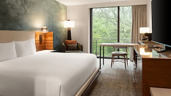 Room, 1 King Bed, Accessible