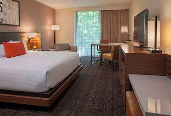 Room, 1 King Bed (Woodland View)