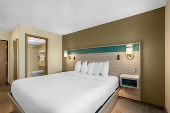 Standard Room, 1 King Bed, Non Smoking, Refrigerator & Microwave (Larger Room;with Sofabed)