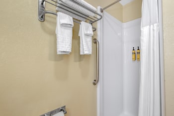 Standard Room, 1 King Bed, Non Smoking, Jetted Tub (with Sofabed)