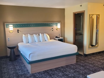 Standard Room, 1 King Bed, Non Smoking, Refrigerator & Microwave (Larger Room;with Sofabed)