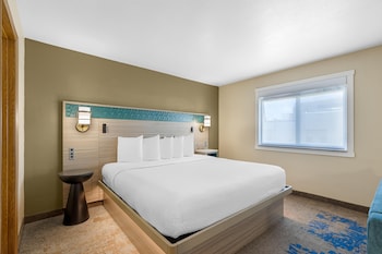 Standard Room, 1 King Bed, Non Smoking, Refrigerator & Microwave (Larger Room;with Sofabed)