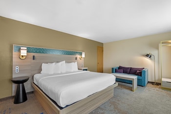 Standard Room, 1 King Bed, Non Smoking, Jetted Tub (with Sofabed)