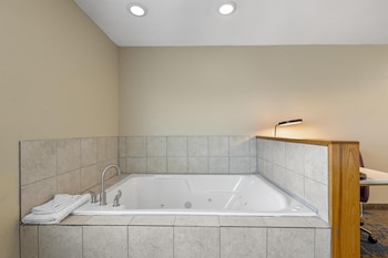 Standard Room, 1 King Bed, Non Smoking, Jetted Tub (with Sofabed)