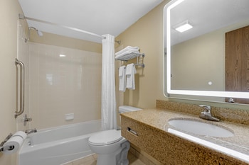 Standard Room, 1 King Bed, Non Smoking, Refrigerator & Microwave (Larger Room;with Sofabed)