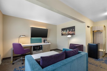 Standard Room, 1 King Bed, Non Smoking, Refrigerator & Microwave (Larger Room;with Sofabed)