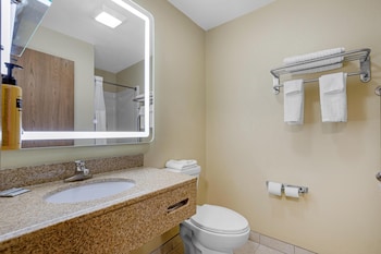 Standard Room, 1 King Bed, Non Smoking, Jetted Tub (with Sofabed)