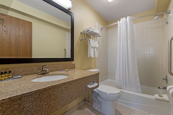 Standard Room, 1 King Bed, Non Smoking, Refrigerator & Microwave (Larger Room;with Sofabed)