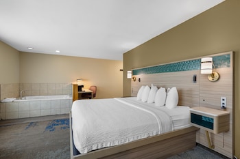 Standard Room, 1 King Bed, Non Smoking, Jetted Tub (with Sofabed)