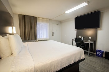 Eco Delight: King Bed Non-Smoking