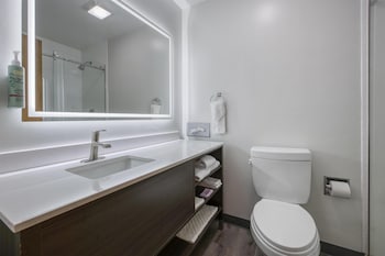 Standard Room, 1 King Bed, Fireplace, Lakeside (with Sofabed)