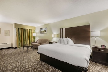Standard Room, 1 King Bed, Fireplace, Lakeside (with Sofabed)