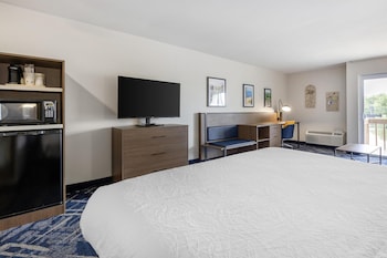 Standard Room, 1 King Bed, Refrigerator & Microwave, Lakeside (with Sofabed)