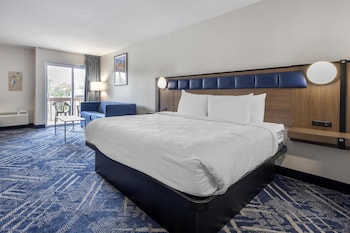 Standard Room, 1 King Bed, Refrigerator & Microwave, Lakeside (with Sofabed)