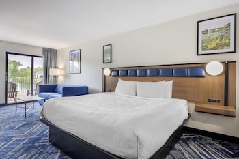 Standard Room, 1 King Bed, Fireplace, Lakeside (with Sofabed)