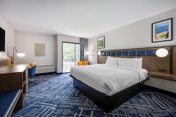 Standard Room, 1 King Bed, Non Smoking, Refrigerator & Microwave