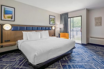 Standard Room, 1 King Bed, Accessible, Refrigerator & Microwave (Walk-in Shower)
