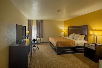 Room, 1 King Bed, Non Smoking (Efficiency, Upgrade)
