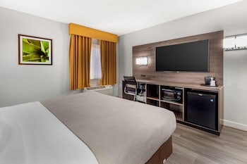 Room, 1 King Bed, Accessible, Non Smoking