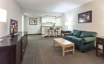 Standard Room, 1 King Bed, Accessible, Non Smoking (Roll-In Shower)