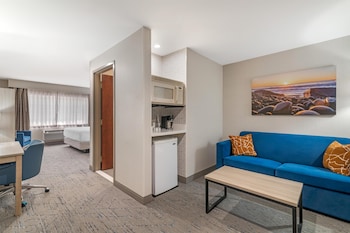 Suite, 1 King Bed, Non Smoking, Refrigerator & Microwave (with Sofabed)