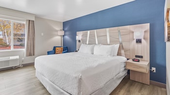 Standard Room, 1 King Bed, Accessible, Non Smoking