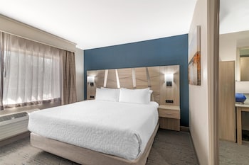 Suite, 1 King Bed, Non Smoking, Refrigerator & Microwave (with Sofabed)