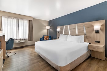 Standard Room, 1 King Bed, Accessible, Non Smoking