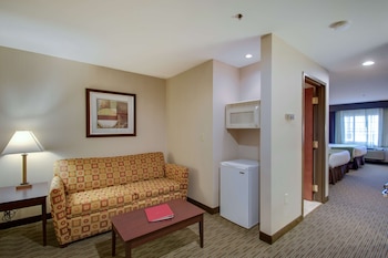 Suite, 1 King Bed, Non Smoking, Refrigerator & Microwave (with Sofabed)