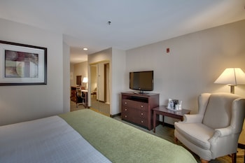 Suite, 1 King Bed, Non Smoking, Refrigerator & Microwave (with Sofabed)
