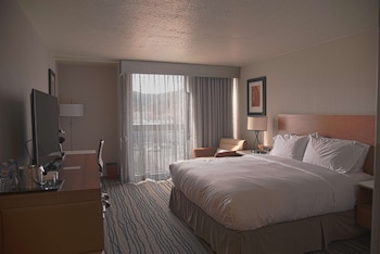 Room, 1 King Bed, Accessible, Bathtub