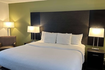 Room, 1 King Bed, Non Smoking
