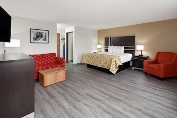 Suite, 1 King Bed, Non Smoking (No Pets)