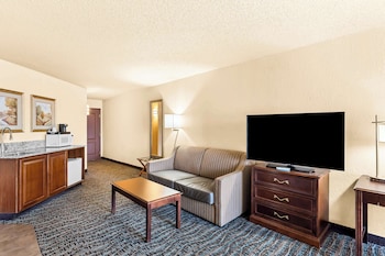 Suite, 1 King Bed, Non Smoking, Jetted Tub (with Sofabed)