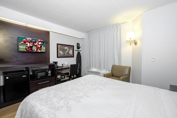 Deluxe Room, 1 Queen Bed, Accessible (Roll-In Shower, Smoke Free)