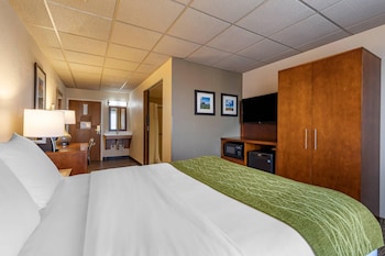 Standard Room, 1 Queen Bed, Accessible, Non Smoking (Roll-In Shower)